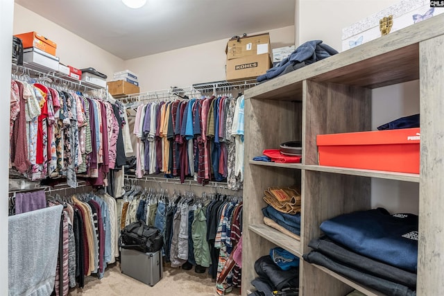 spacious closet with carpet flooring