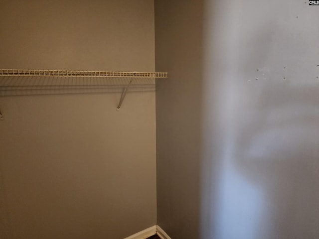 view of closet