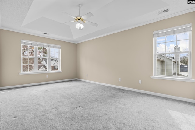 spare room with carpet flooring, crown molding, a healthy amount of sunlight, and a tray ceiling