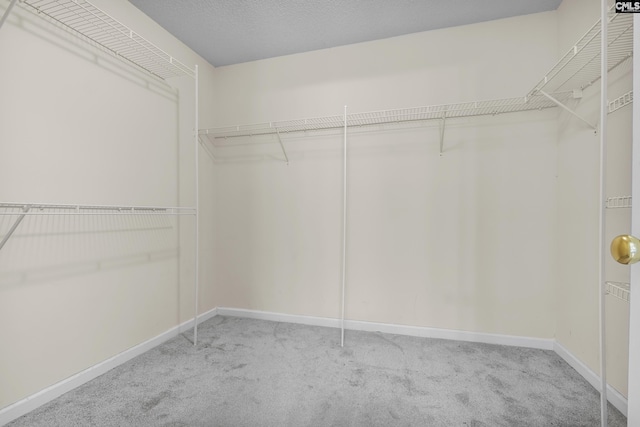 walk in closet with light carpet