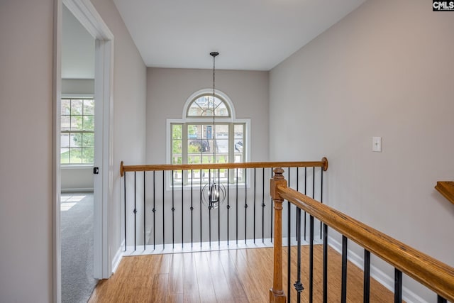 hallway with light hardwood / wood-style flooring and a wealth of natural light