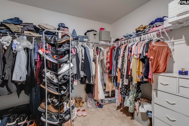 spacious closet featuring carpet flooring