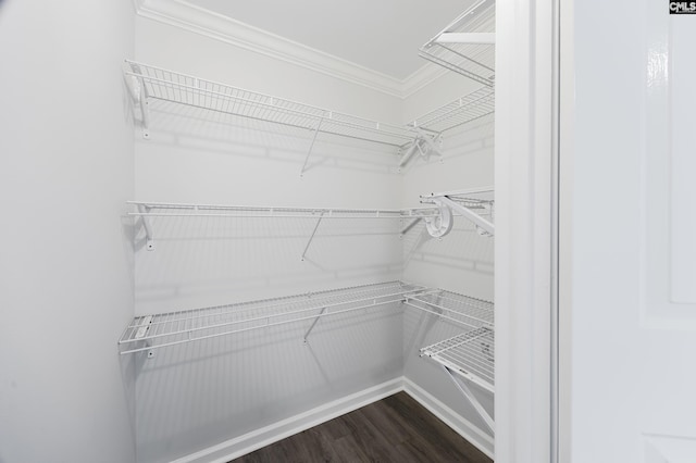 spacious closet featuring wood-type flooring