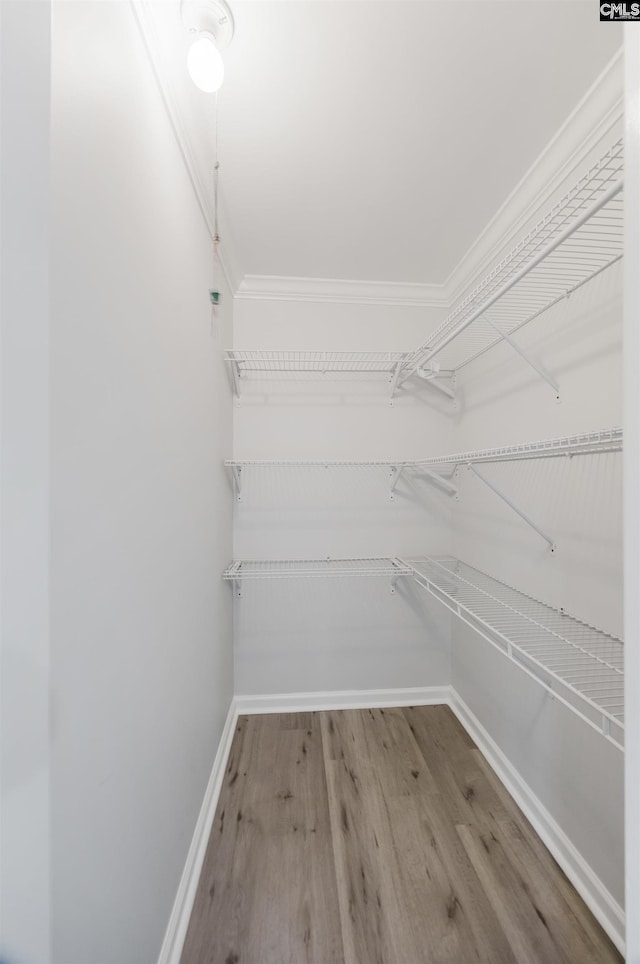 walk in closet with wood-type flooring