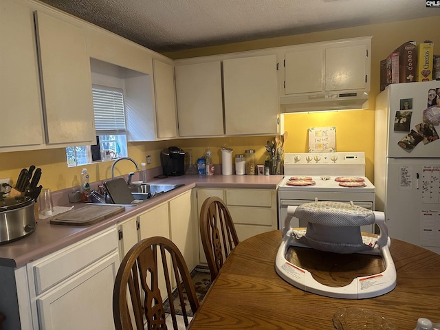 kitchen featuring sink, a textured ceiling, and white appliances