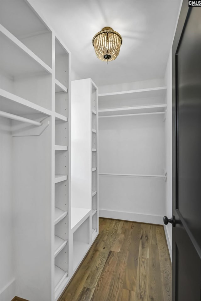 387 Bedford Way, Prosperity, SC 29127 - walk in closet with dark hardwood / wood-style flooring