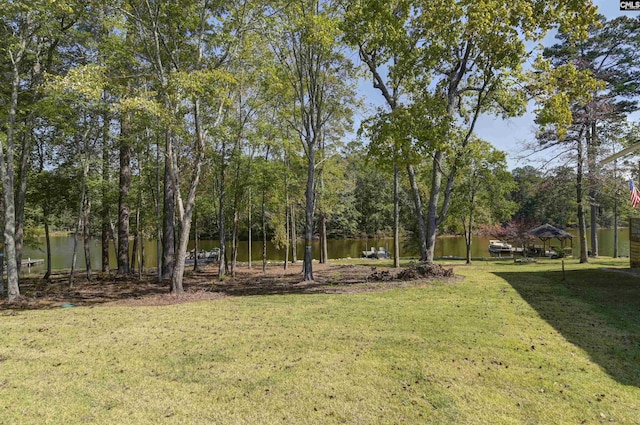 387 Bedford Way, Prosperity, SC 29127 - view of yard featuring a water view