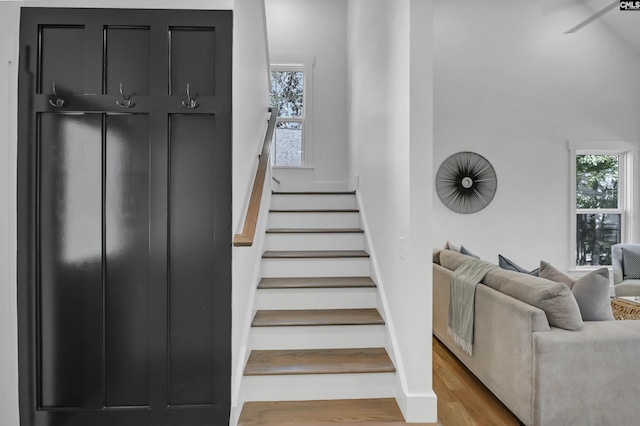 387 Bedford Way, Prosperity, SC 29127 - stairs with hardwood / wood-style flooring and plenty of natural light