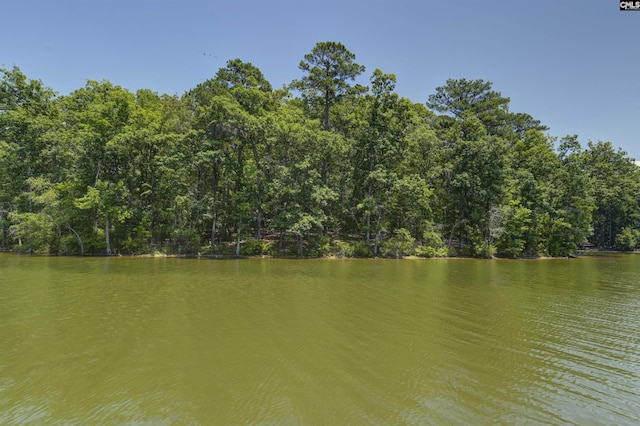 387 Bedford Way, Prosperity, SC 29127 - view of water feature