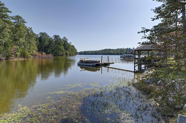 387 Bedford Way, Prosperity, SC 29127 - dock area with a water view