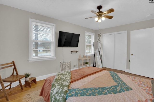 bedroom featuring ceiling fan, a closet, wood-type flooring, and multiple windows