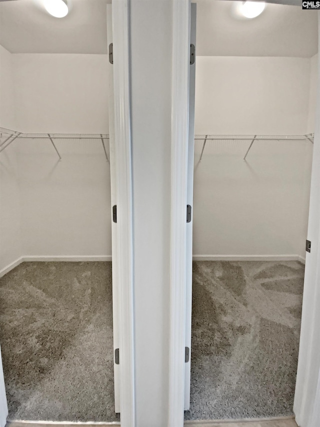 walk in closet with carpet flooring