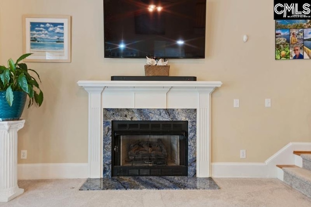 room details featuring a premium fireplace and carpet floors