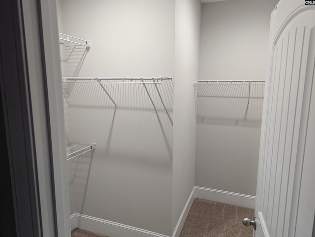 walk in closet with carpet