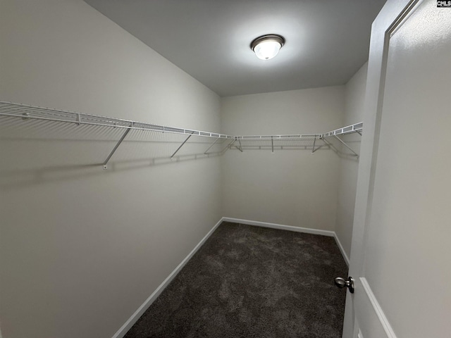 walk in closet featuring dark colored carpet