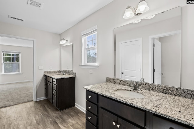 bathroom with hardwood / wood-style flooring, vanity, and a healthy amount of sunlight