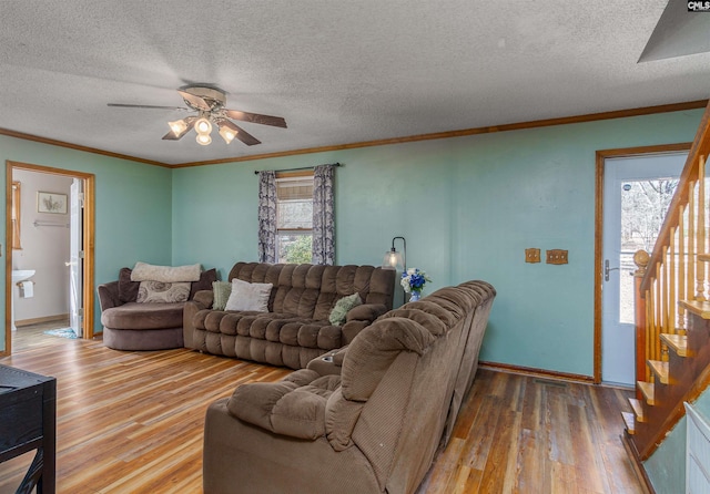 living room with ornamental molding, wood-type flooring, and a textured ceiling