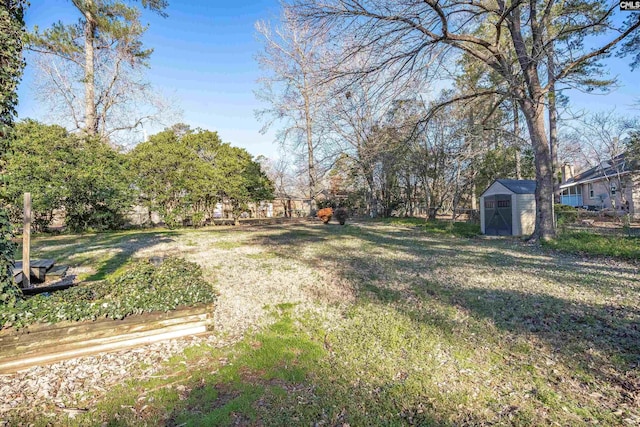 view of yard with a storage shed