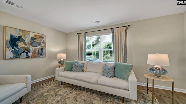 living room featuring hardwood / wood-style floors