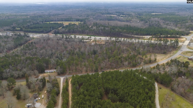 1249C Holy Trinity Church Rd Unit C, Little Mountain SC, 29075 land for sale