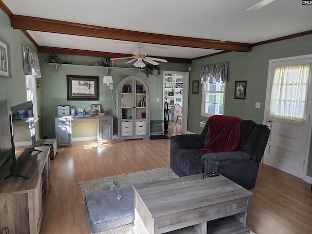 living area with light wood-type flooring, crown molding, a ceiling fan, and beam ceiling