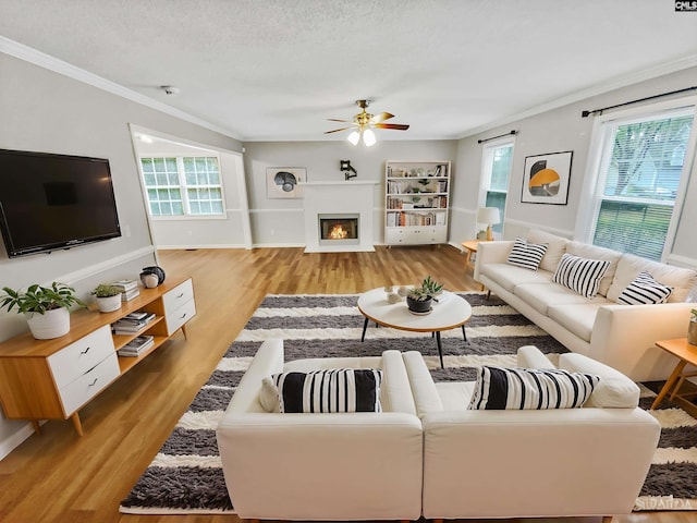 living room with crown molding, ceiling fan, a textured ceiling, and light hardwood / wood-style floors