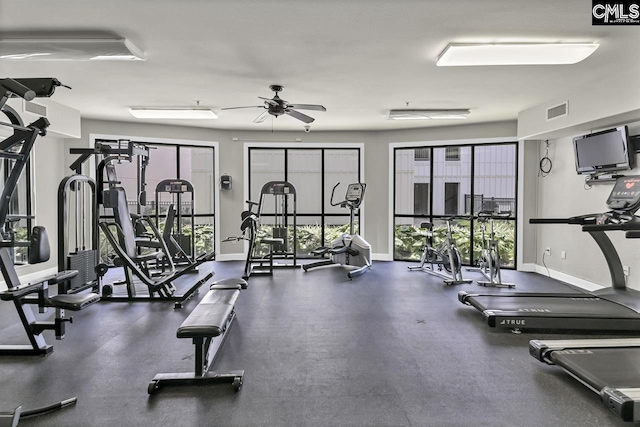 exercise room featuring a wealth of natural light and ceiling fan