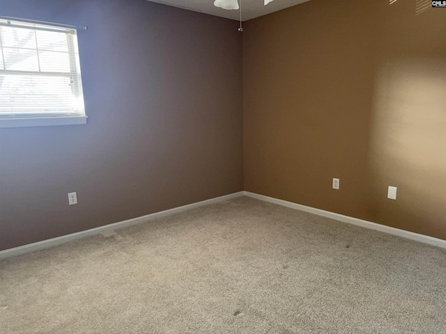 empty room featuring carpet floors