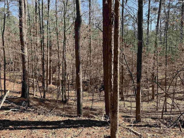 TBD Brandywine Dr Unit 29, Mccormick, SC 29835
