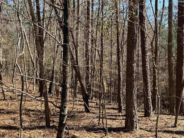 TBD Brandywine Dr Unit 29, Mccormick, SC 29835