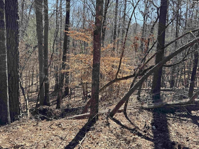TBD Brandywine Dr Unit 29, Mccormick, SC 29835