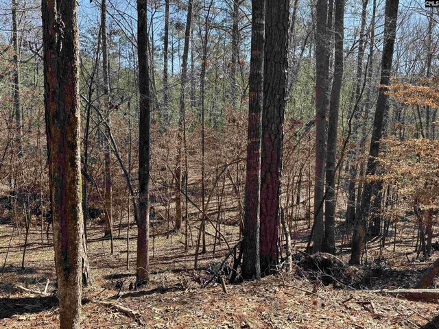TBD Brandywine Dr Unit 29, Mccormick, SC 29835
