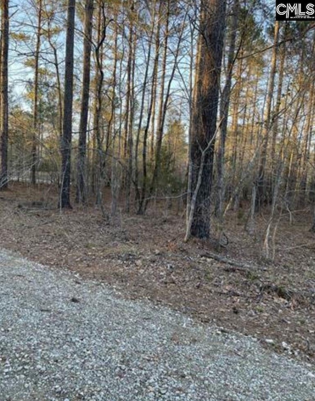 Waxwing Ln, Winnsboro SC, 29180 land for sale