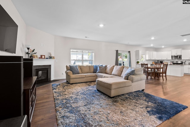 living room with dark wood-type flooring