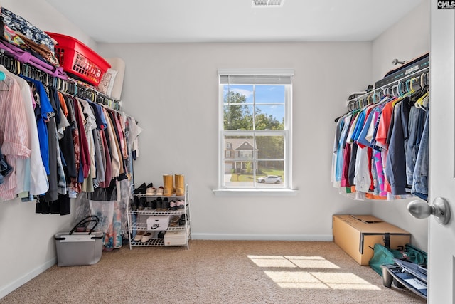 walk in closet featuring carpet floors