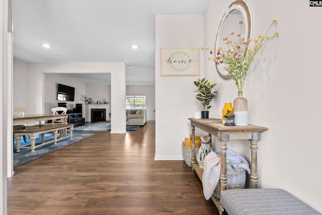 entrance foyer featuring dark wood-type flooring