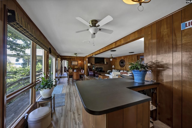 kitchen featuring light wood-type flooring, wood walls, and ceiling fan