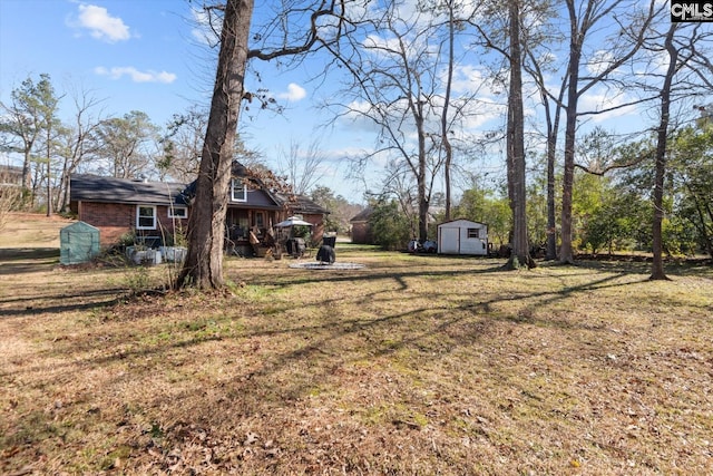 view of yard with a storage shed