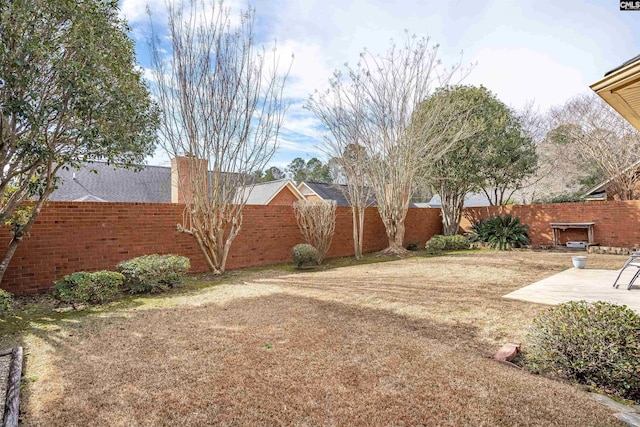 view of yard with a patio