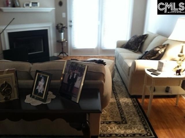 living room featuring wood-type flooring