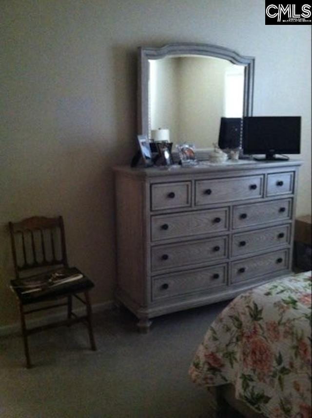 bedroom with carpet flooring