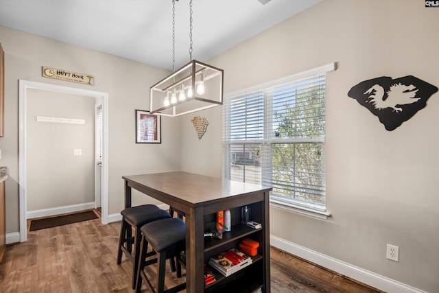 dining area featuring hardwood / wood-style flooring