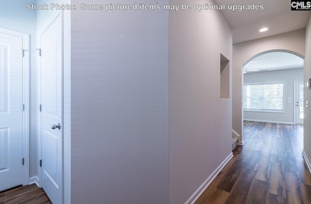 corridor featuring dark hardwood / wood-style flooring