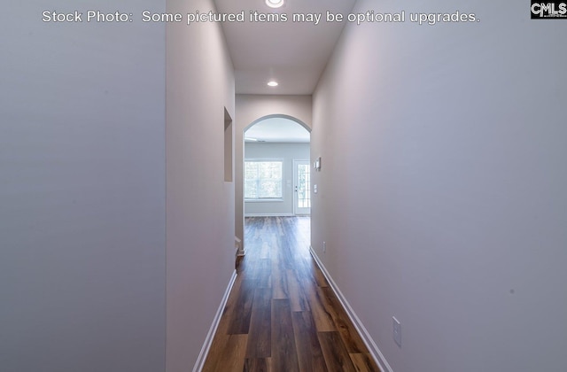 corridor with dark hardwood / wood-style flooring