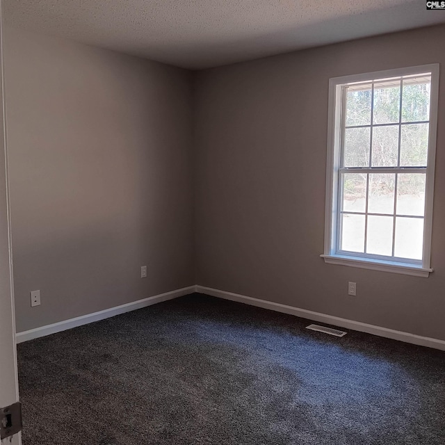 spare room featuring carpet flooring, a textured ceiling, and a healthy amount of sunlight