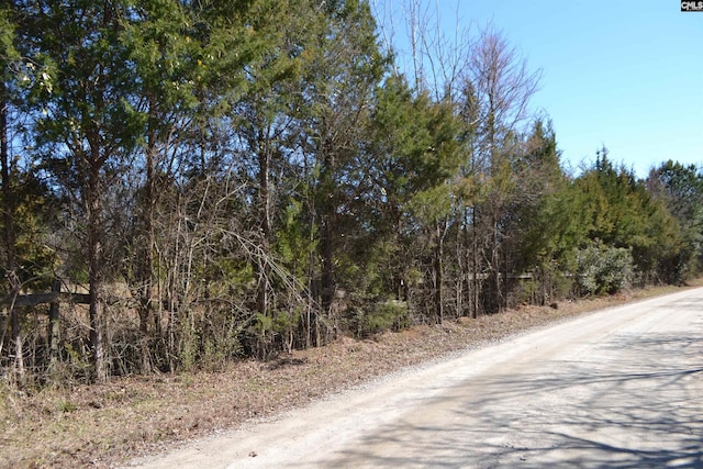 105 Walter Mccartha Rd, Chapin SC, 29036 land for sale