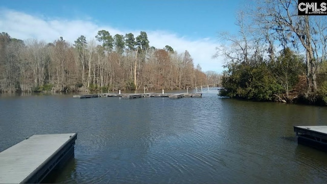 view of dock with a water view and a wooded view