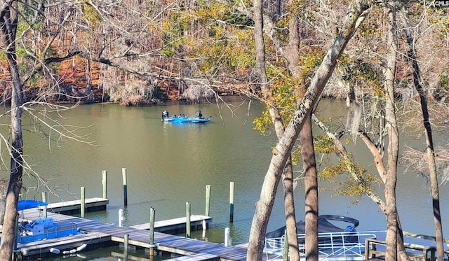 dock area featuring a water view