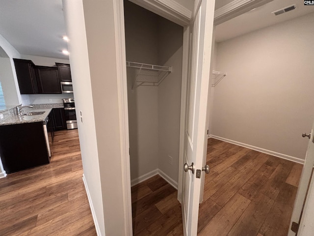 closet featuring visible vents and a sink