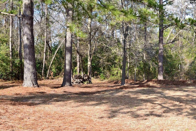 view of local wilderness